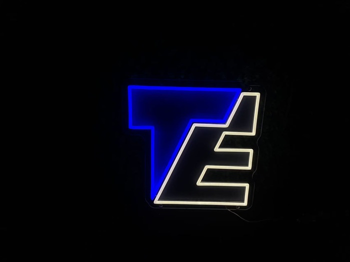 Custom monogram TE split neon logo sign for business.